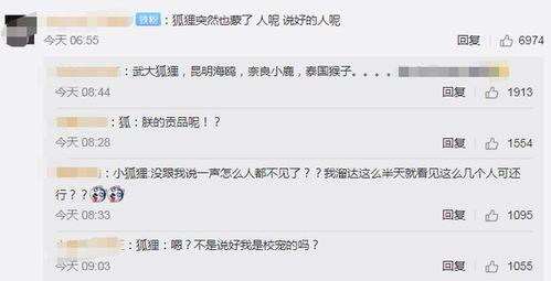 湖北武汉网红爆料视频,揭秘城市生活新视角