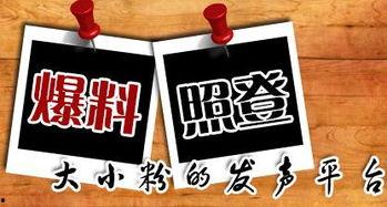 新闻爆料都有什么平台,新闻爆料背后的热门平台大盘点