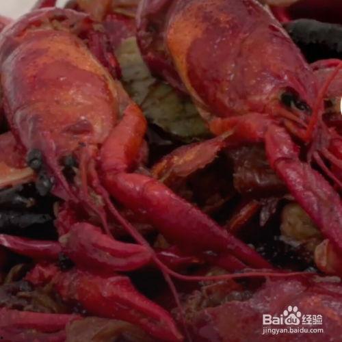 爆料龙虾做法视频教程下载,跟随视频教程轻松学会正宗做法