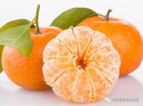 娱乐吃瓜酱砂糖橘