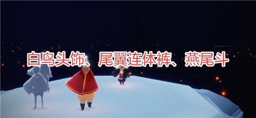 光遇最新爆料在哪里看