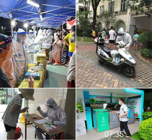 鸡东爆料真实情况最新视频,最新视频揭露惊人真相，真相令人震惊！